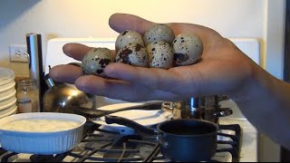 How To Hard Boil Quail Eggs [upl. by Sidnarb]