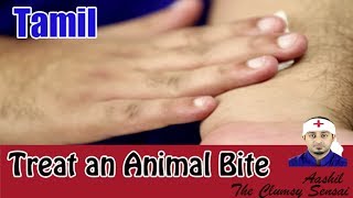 How to Treat an Animal Bite  First Aid in Tamil [upl. by Narbig]