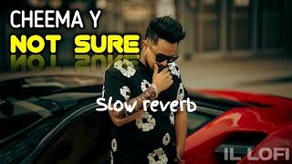 NOT SURE   SLOWED  REVERB  CHEEMA Y  Gur Sidhu  IL LOFI  New Punjabi Song 2024 [upl. by Jefferey]