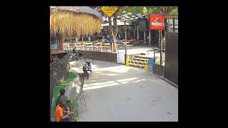 Green Mango Bike Crash samui kohsamui chawengbeach thailand thailandtravel [upl. by Kotto]