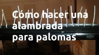 Cómo hacer una alambrada para palomas [upl. by Adiuqram]