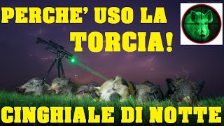 Visori notturni o torce Ecco perché preferisco una torcia [upl. by Gnuhp]