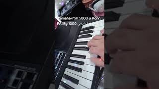 YamahaPSR 5000 amp Kong PA Mg 1000 ايقاع دفوف [upl. by Legyn]