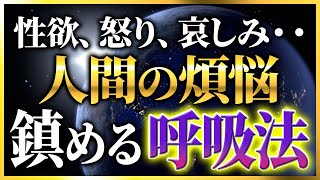 呼吸で人生をコントロール 聞こえないはずの声すら聞こえるように？ [upl. by Monson]