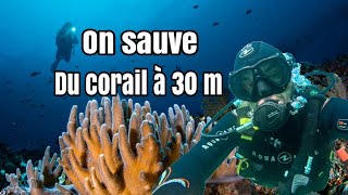 plongée sauvetage du corail je t explique tout [upl. by Linnea411]