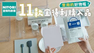 【NITORI HAUL】宜得利新品購入11件生活好物推薦 Brother標籤機整理、廚房必備小物、冰箱收納品、實用折疊砧板 艾比的小日常 [upl. by Anihpled475]