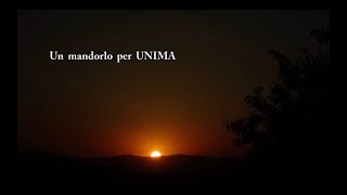 Un mandorlo per UNIMA Italia da Montemurro a Busto Arsizio – 21 marzo 2023 [upl. by Nywde658]