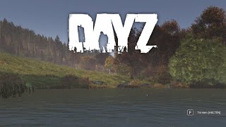 DayZ  Well Streamed Deutsch  German [upl. by Waddell]