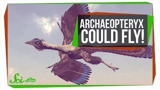 The First Known Bird Could Fly But Super Awkwardly [upl. by Tobey]