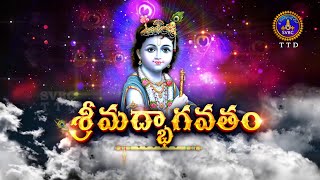 శ్రీమద్భాగవతం  Srimad Bhagavatham  Kuppa Viswanadha Sarma  Tirumala  03022024  SVBC TTD [upl. by Ahsienak320]