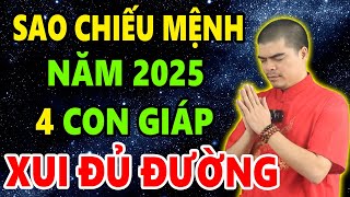 Xem Sao Hạn Chiếu Mệnh Năm 2025 Ất Tỵ 4 Con Giáp Xui Xẻo Đủ Đường Cần biết sớm mà Hóa giải [upl. by Taka]