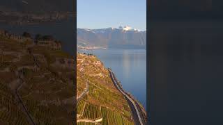 Breathtaking Drone Views of Lavaux Vineyards by Lake Geneva in Switzerland aerial dji drone [upl. by Martie]