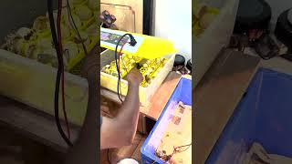 How to Hatch Eggs in automatic Egg Incubator  Check Description Incubator for Chicken Eggs shorts [upl. by Kristy]