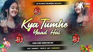 Kya Tumhe Yaad Hai Hindi Song Dj Remix Jo Bhi Kasame Khai the Hamne Dj Pp Music [upl. by Ahsiuqat]