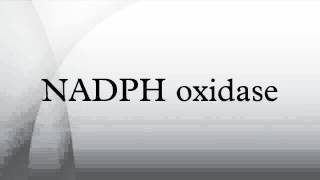 NADPH oxidase [upl. by Mccahill]