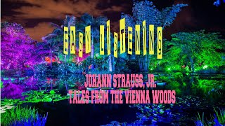 JOHANN STRAUSS JR  TALES FROM THE VIENNA WOODS [upl. by Attwood]