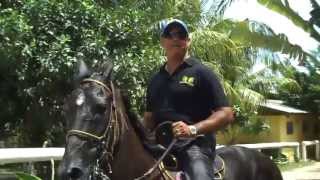 Horseback Riding in Curacao [upl. by Guillermo410]