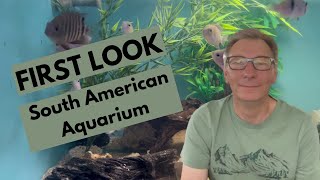 FIRST LOOK  South American Cichlid Community Aquarium [upl. by Notsuj]