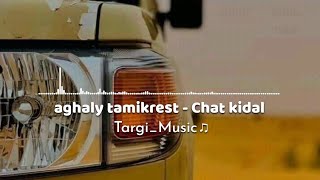 aghaly tamikrest  Chat kidal 2023 [upl. by Esille576]