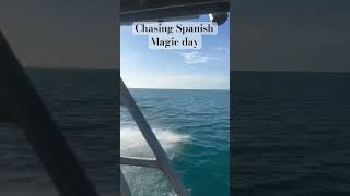 CHASING SPANISH weipa spanishmackerel travel queensland fishing fish perfect [upl. by Martell]