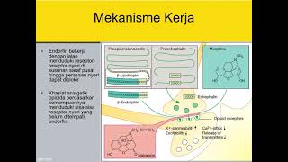 ANALGETIKA ANTIPIRETIKA DAN ANTIINFLAMASI [upl. by Oilcareh715]