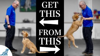 Teach Your Dog To Stop Jumping Up In 4 Simple Steps [upl. by Arima]