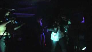 Metalachi performs live cover of Master of PuppetsNothing Else MattersWinds of Changeand MORE [upl. by Loram]