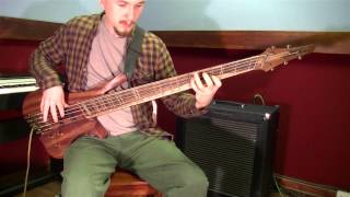 Dahrendorf Daikatana 5String Bass Demo [upl. by Adnohrahs555]