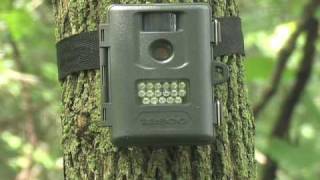 Tasco 5MP Infrared Trail Camera [upl. by Lathrop]