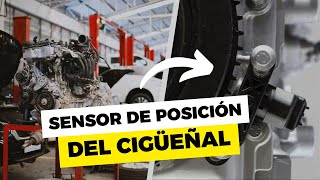 💥 SENSOR CKP  QUÉ ES UBICACIÓN FUNCIONAMIENTO Y FALLAS [upl. by Konikow]