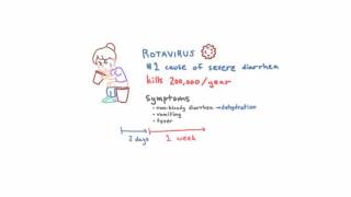 Rotavirus  Epidemiology Clinical Presentation and Prevention [upl. by Ahsertal634]