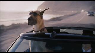 Marmaduke  Official HDTrailer [upl. by Fakieh228]