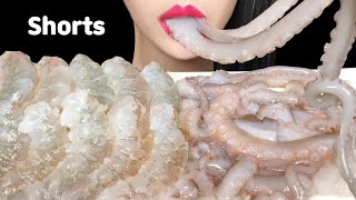 ASMR RAW OCTOPUS 산낙지 먹방 EATING SOUNDS MUKBANG shorts [upl. by Annoj]