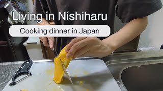 124 Cooking dinner in Japan [upl. by Atonsah]