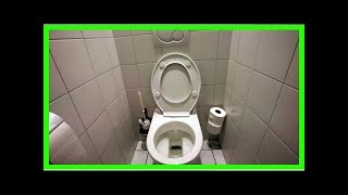 2 Astuces Pour Désodoriser Vos Toilettes Pour Pas Cher [upl. by Sussman]