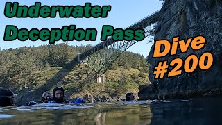 Scuba Diving Under Deception Pass Bridge Dive 200 For AddAdventures [upl. by Eirollam]