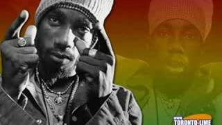 sizzla  smoke your herb [upl. by Inaoj771]