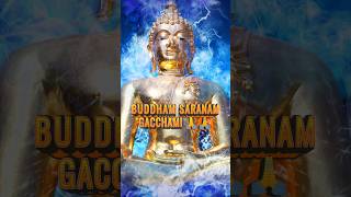 Buddham Sharanam Gachchami 🙏l Happy Buddha Purnima 🙏 viral bhakti [upl. by Anauq]