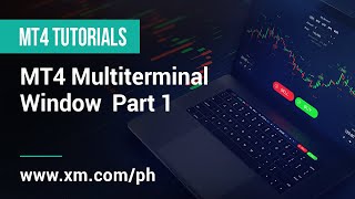 XMCOM  Mga Tutorial sa MT4  MT4 Multiterminal Window  Paano ito Gamitin [upl. by Ahsinelg707]