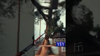 Arborists Narrowly Escape as Tree Falls on House TreeFelling YesEpicYes Chainsawman [upl. by Nagud]