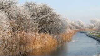 Ralph Vaughan Williams  In the Fen Country Photographs [upl. by Yuji236]