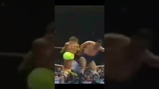 The Ultimate Warrior vs Andre The Giant [upl. by Schaumberger842]