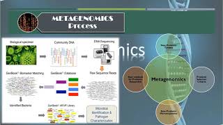 Introduction to Metagenomics [upl. by Sergent]