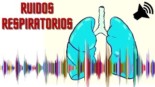 ♐ Crepitantes Sibilantes Roncus Estridor y Murmullo Vesicular Normal 🎓 Semiologia Respiratória [upl. by Esinnej]