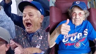 Best Cubs World Series Win Fan amp Celebrity Reactions [upl. by Coffeng833]