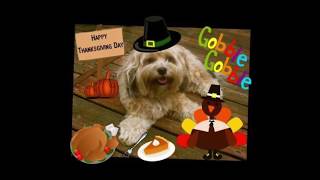 Adam Sandlers Thanksgiving Song Done wDogs [upl. by Fitz]