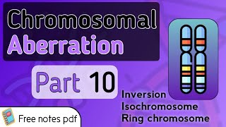 Inversion Isochromosome and Ring chromosomal aberrations [upl. by Yarehs]