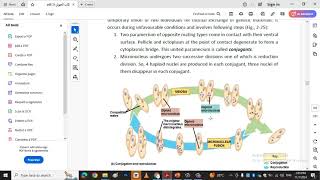 NUTRITIONREPRODUCTION of Paramecium [upl. by Riccio417]