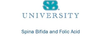 SPINA BIFIDA amp FOLIC ACID  ENGLISH [upl. by Maridel304]