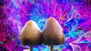 What magic mushrooms do to your brain and body [upl. by Naillimxam]